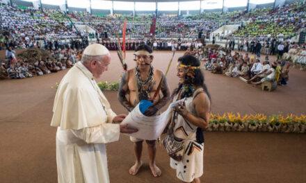 Il prof. M. D’Amico commenta l’Instrumentum Laboris del Sinodo Amazzonico (2)