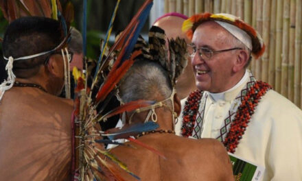 Il prof. M. D’Amico commenta l’Instrumentum Laboris del Sinodo Amazzonico (3)
