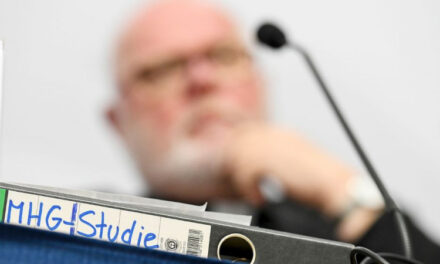 Il percorso sinodale verso una chiesa nazionale tedesca (4)