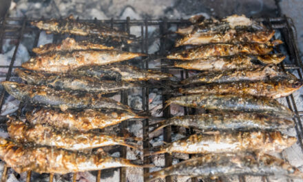 È uscito il “Manifesto delle Sardine”: banalità tendente al nulla. La (breve) lettura commentata: