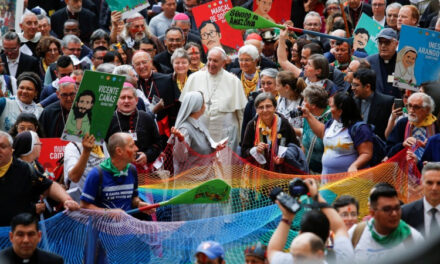 Card. Burke: “Ove Francesco firmasse un doc-conferma dell’Instrumentum, guiderebbe uno scisma”