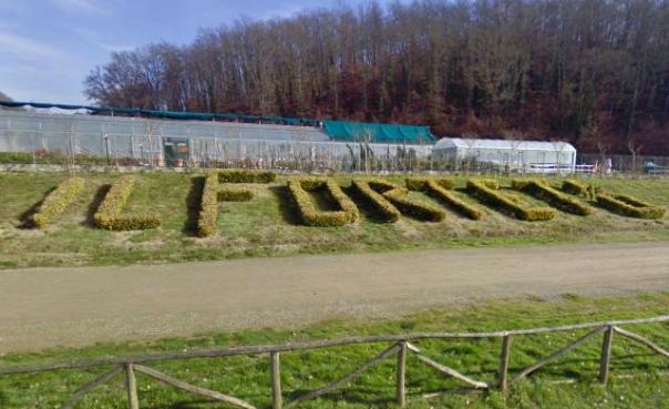 Il Forteto e la gnosi omo-settaria