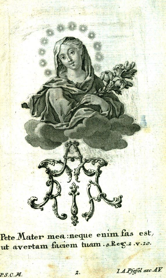 [DIFUNDE TU FE CATOLICA] Tradicional Novena a la Inmaculada Concepción de María Nuestra Reina y Señora. Día 7