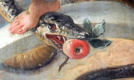 Porrò inimicizia tra te e la Donna