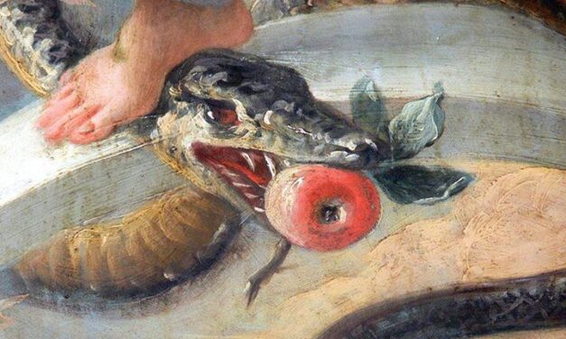 Porrò inimicizia tra te e la Donna