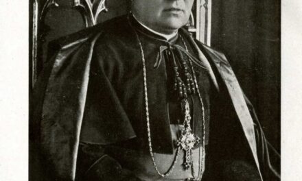 [DIFUNDE TU FE CATOLICA] EL ÚNICO FIN DEL MINISTERIO SACERDOTAL: LA SALVACIÓN DE LAS ALMAS