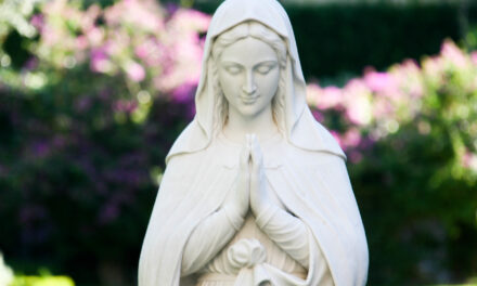 [DIFUNDE TU FE CATOLICA] Tradicional Novena a la Inmaculada Concepción de María Nuestra Reina y Señora. Día 4