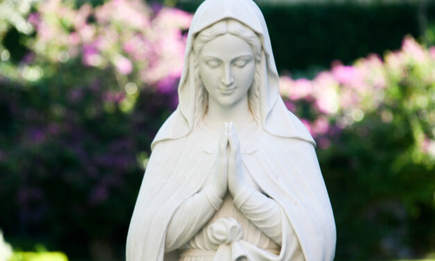 [DIFUNDE TU FE CATOLICA] Tradicional Novena a la Inmaculada Concepción de María Nuestra Reina y Señora. Día 4