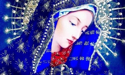 [DIFUNDE TU FE CATOLICA] Tradicional Novena a la Inmaculada Concepción de María Nuestra Reina y Señora. Día 8