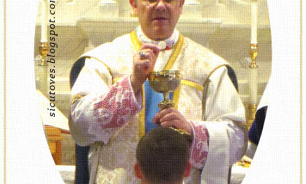 [DIFUNDE TU FE CATOLICA] LA APOSTASÍA ACTUAL: Los Católicos no deben someterse a Falsos Pastores