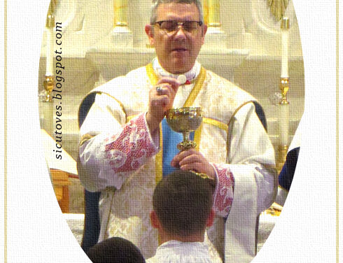 [DIFUNDE TU FE CATOLICA] LA APOSTASÍA ACTUAL: Los Católicos no deben someterse a Falsos Pastores