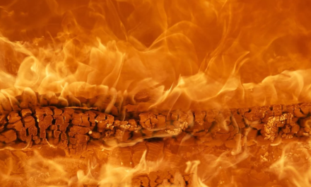 Cambiamento climatico? In Australia oltre 180 denunciati per roghi, diversi i minorenni