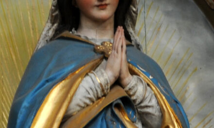 [DIFUNDE TU FE CATOLICA] EL REINO DE MARÍA EN NUESTRAS ALMAS…El mayor amor y la mayor alabanza