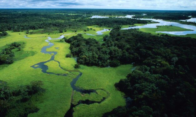 Tutto il peggio di “Querida Amazonia”