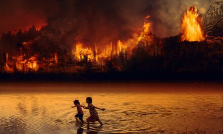 Operazione Amazzonia: il fronte “conservatore” sta evaporando