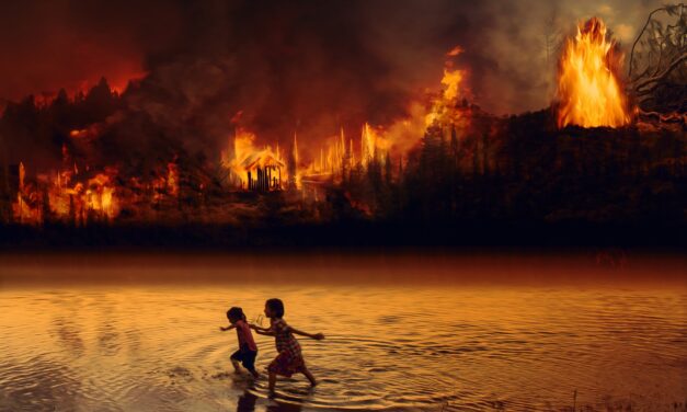 Operazione Amazzonia: il fronte “conservatore” sta evaporando