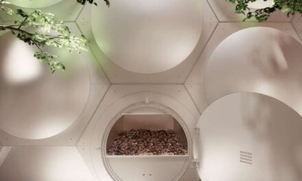 Oltre la cremazione. Defunti da trasformare in terriccio: negli USA partirà il “compostaggio umano”