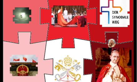 «Oggi nella Chiesa cattolica ci sono cinque scismi “di fatto”. Pochi ne parlano: ve li racconto»