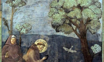 Per una visione cattolica dell’ecologia