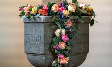 Coronavirus e sacramenti. Carabinieri intervengono per battesimo con soli 5 presenti: tutti denunciati