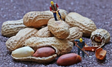 La lettera di una Partita Iva contro certa retorica facilona dell’#iorestoacasa