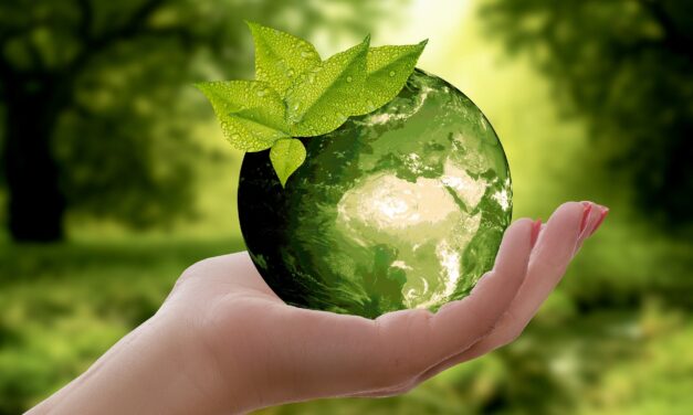L’eco-progressismo deraglia. Boff: “Coronavirus rappresaglia di Grande Madre – Gaia”