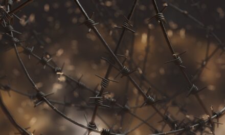 Coronavirus. Veramente credete che sarà questione di qualche settimana? Fatti su cui riflettere: