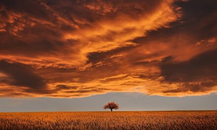 Non di solo panico vive l’uomo.