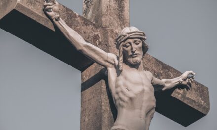 50 massime per la direzione di un’anima che vuole amare perfettamente Gesù Cristo (di S. Alfonso M. de’ Liguori)