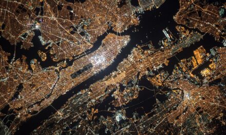 A New York si scavano nuove fosse comuni: breve cronaca dalla città del tramonto