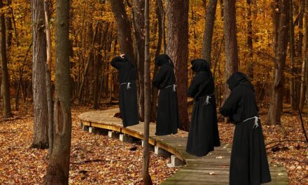 Homo animal naturaliter sociale. Riflessioni dalla prigionia