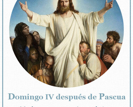 [DIFUNDE TU FE CATOLICA] SANTA MISA DEL IV DOMINGO DE PASCUA