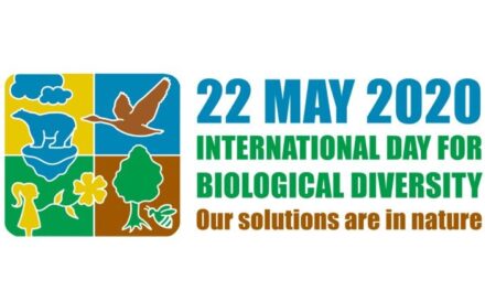 ‘Vatican news’ è panteista!