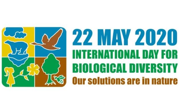 ‘Vatican news’ è panteista!