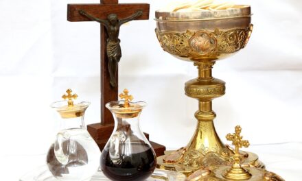 I protocolli CEI impongono la Comunione nella mano? Niente affatto, anzi…