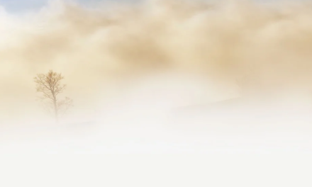 Il 13 maggio una densa nebbia ha avvolto Fatima e la statua di Maria quasi è caduta