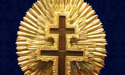🔴 “80 miracoli che han fatto la storia – Segni indelebili della veracità della Chiesa in 20 secoli”: un libro da avere