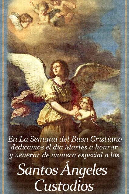 [DIFUNDE TU FE CATOLICA] LA TUTELA DE ESOS SERES MARAVILLOSOS