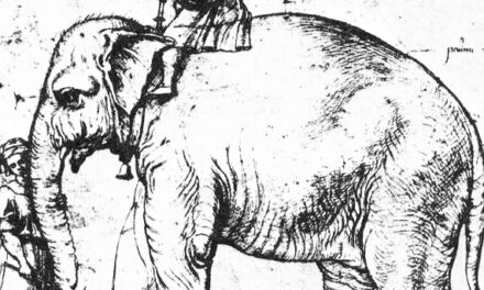 Annone, l’elefante di Leone X