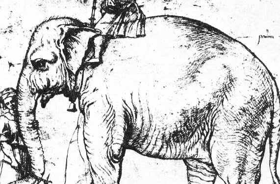 Annone, l’elefante di Leone X