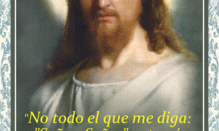 [DIFUNDE TU FE CATOLICA]  DOMINICA VII DESPUÉS DE PENTECOSTÉS