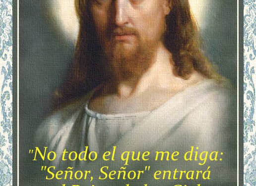 [DIFUNDE TU FE CATOLICA]  DOMINICA VII DESPUÉS DE PENTECOSTÉS