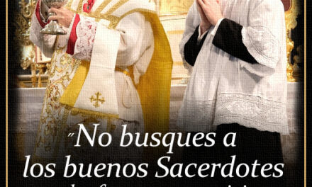 [DIFUNDE TU FE CATOLICA] VIRGEN MARÍA DEL OLVIDO, TRIUNFO Y MISERICORDIAS