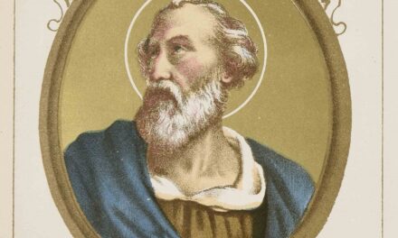 I calici di papa san Zeffirino