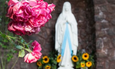 Come faceva Maria ad essere così eccellente ed umile al contempo?