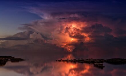 La quiete prima della tempesta. Ovvero: ipotesi su ciò che sta per accadere. Intervista a tutto campo col Guelfo Rosa