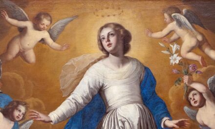 Quei Domenicani immacolatisti