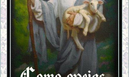 [DIFUNDE TU FE CATOLICA] X ANIVERSARIO DE NUESTRA PÁGINA “COMO OVEJAS SIN PASTOR”