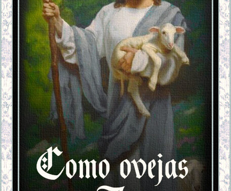 [DIFUNDE TU FE CATOLICA] X ANIVERSARIO DE NUESTRA PÁGINA “COMO OVEJAS SIN PASTOR”