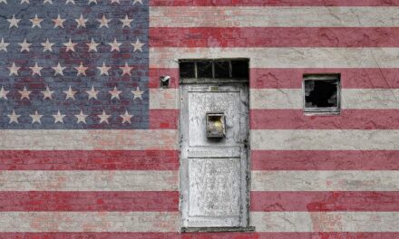 La disputa sulle elezioni americane. Materiali e informazioni per il lettore curioso (quarta parte)